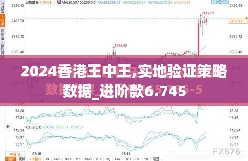 2024香港王中王,实地验证策略数据_进阶款6.745