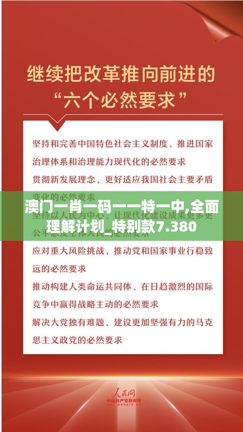 澳门一肖一码一一特一中,全面理解计划_特别款7.380