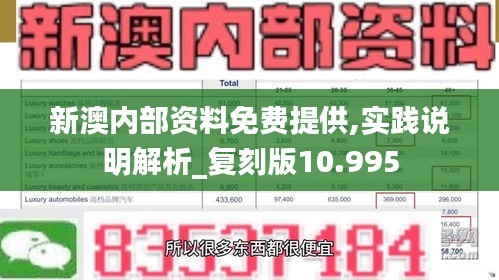 新澳内部资料免费提供,实践说明解析_复刻版10.995