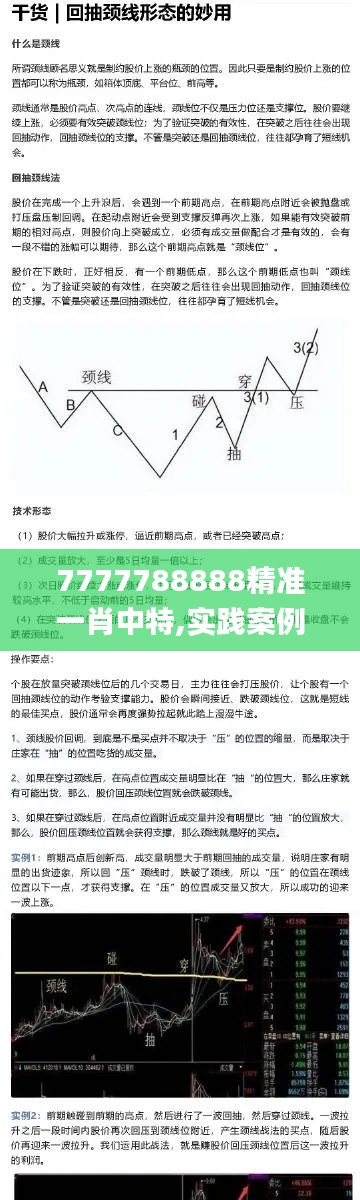 7777788888精准一肖中特,实践案例解析说明_模拟版16.956