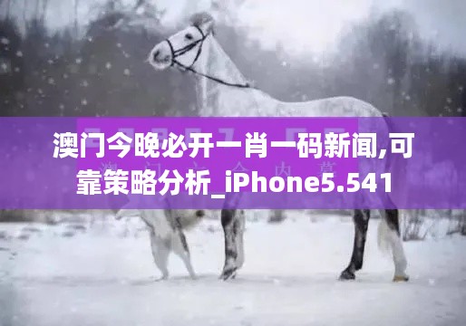 澳门今晚必开一肖一码新闻,可靠策略分析_iPhone5.541