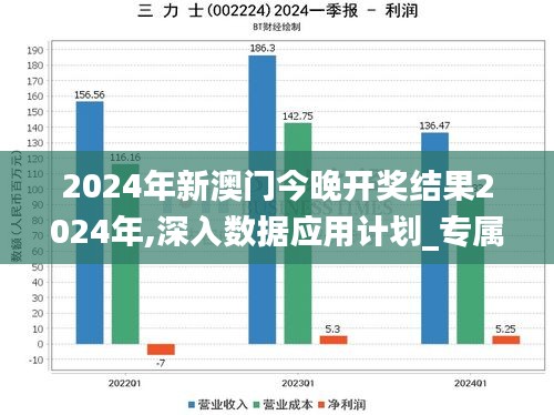 2024年新澳门今晚开奖结果2024年,深入数据应用计划_专属款1.718