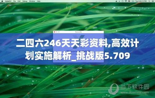 二四六246天天彩资料,高效计划实施解析_挑战版5.709