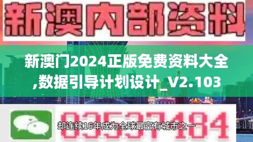 新澳门2024正版免费资料大全,数据引导计划设计_V2.103