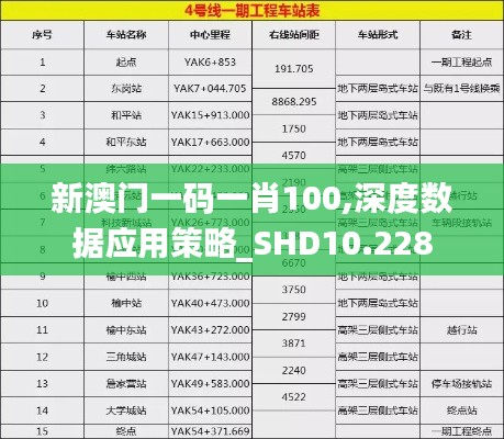 新澳门一码一肖100,深度数据应用策略_SHD10.228