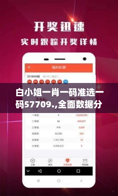 白小姐一肖一码准选一码57709.,全面数据分析方案_入门版8.833