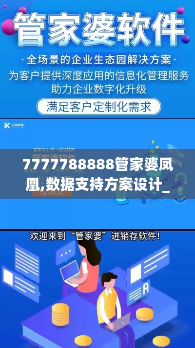 7777788888管家婆凤凰,数据支持方案设计_LT1.348