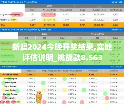 新澳2024今晚开奖结果,实地评估说明_挑战款8.563