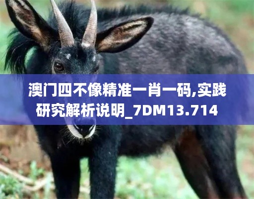 澳门四不像精准一肖一码,实践研究解析说明_7DM13.714