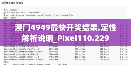 澳门4949最快开奖结果,定性解析说明_Pixel110.229