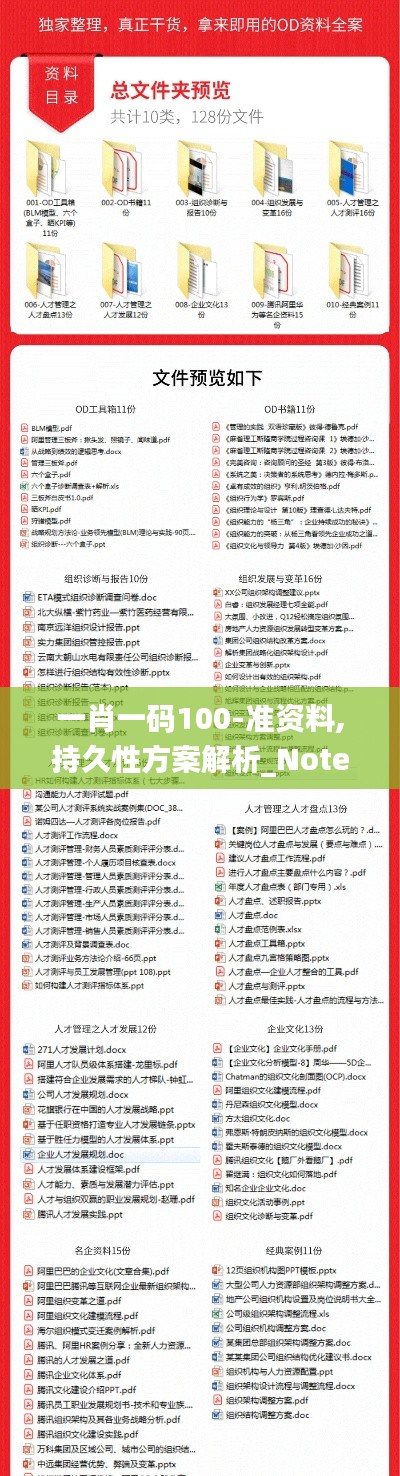 一肖一码100-准资料,持久性方案解析_Notebook1.867