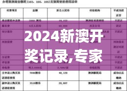 2024新澳开奖记录,专家说明解析_试用版7.377