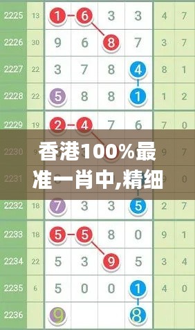 香港100%最准一肖中,精细化策略探讨_Premium2.407