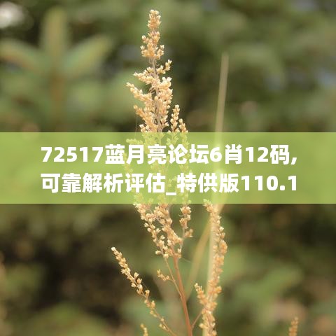 72517蓝月亮论坛6肖12码,可靠解析评估_特供版110.164