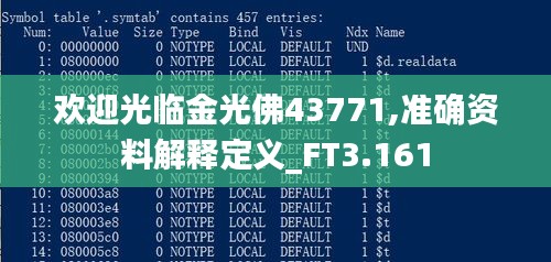 欢迎光临金光佛43771,准确资料解释定义_FT3.161