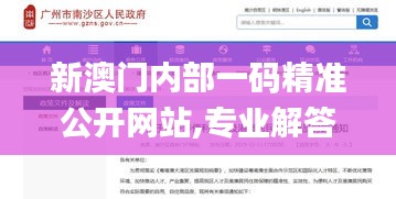 新澳门内部一码精准公开网站,专业解答实行问题_6DM8.739