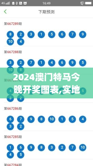 2024澳门特马今晚开奖图表,实地执行考察数据_静态版16.623