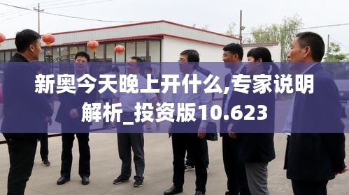 新奥今天晚上开什么,专家说明解析_投资版10.623