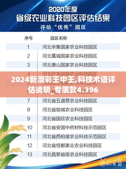 2024新澳彩王中王,科技术语评估说明_专属款4.396