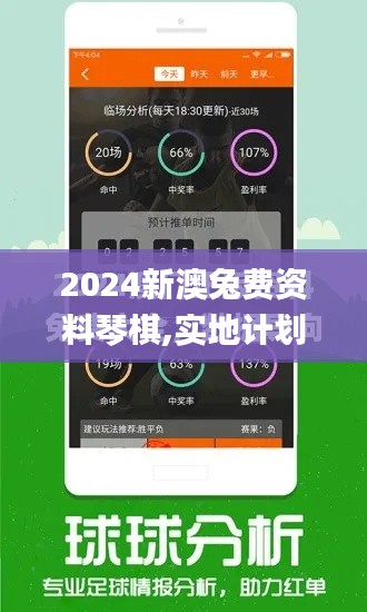 2024新澳兔费资料琴棋,实地计划验证数据_VIP7.590