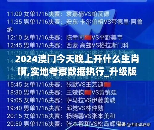 2024澳门今天晚上开什么生肖啊,实地考察数据执行_升级版4.981