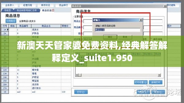 新澳天天管家婆免费资料,经典解答解释定义_suite1.950