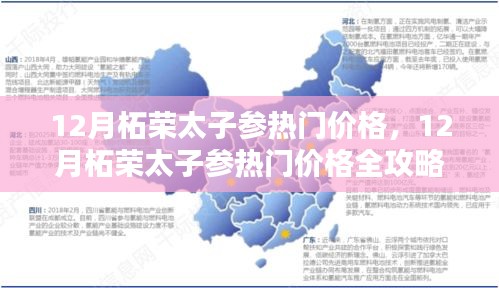 12月柘荣太子参热门价格详解，购买流程与技巧全攻略