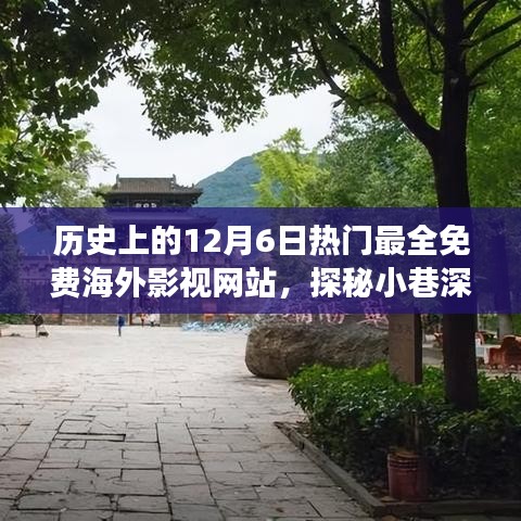 历史上的12月6日热门最全免费海外影视网站，探秘小巷深处的宝藏，历史上的十二月六日，那些免费海外影视网站的星光瞬间与隐藏角落的特色小店