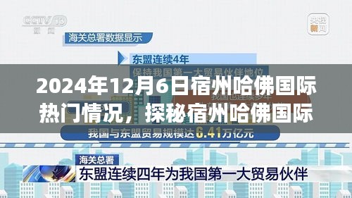 探秘宿州哈佛国际的独特风情与美食宝藏，2024年12月6日热门情况揭秘