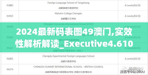 2024最新码表图49澳门,实效性解析解读_Executive4.610