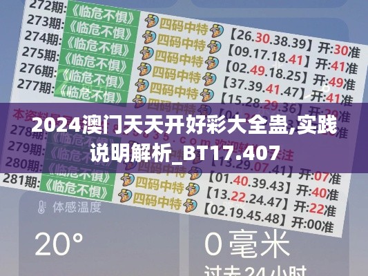 2024澳门天天开好彩大全蛊,实践说明解析_BT17.407