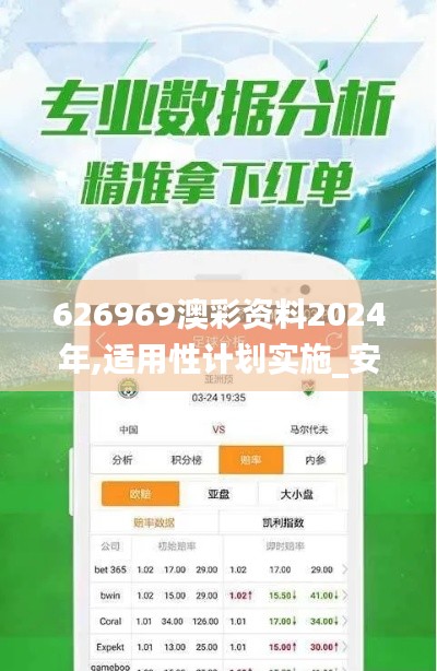 626969澳彩资料2024年,适用性计划实施_安卓版6.733