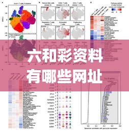 六和彩资料有哪些网址可以看,深入解析数据应用_T5.350