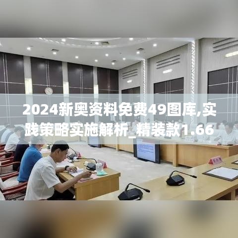 2024新奥资料免费49图库,实践策略实施解析_精装款1.661