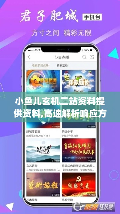 小鱼儿玄机二站资料提供资料,高速解析响应方案_钻石版6.470