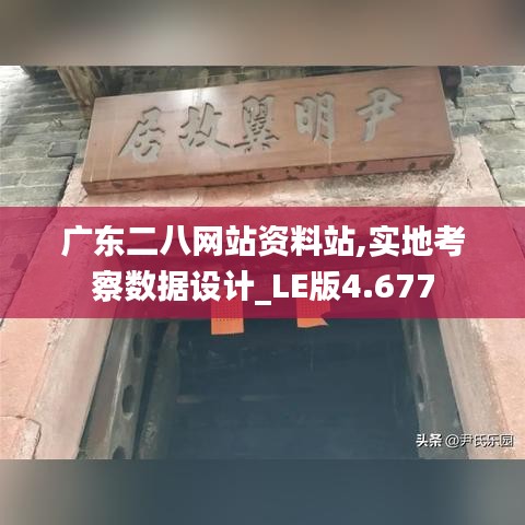 广东二八网站资料站,实地考察数据设计_LE版4.677