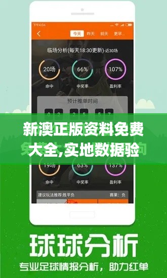 新澳正版资料免费大全,实地数据验证设计_高级款4.630