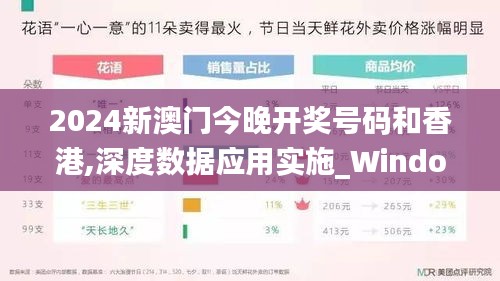 2024新澳门今晚开奖号码和香港,深度数据应用实施_Windows2.511