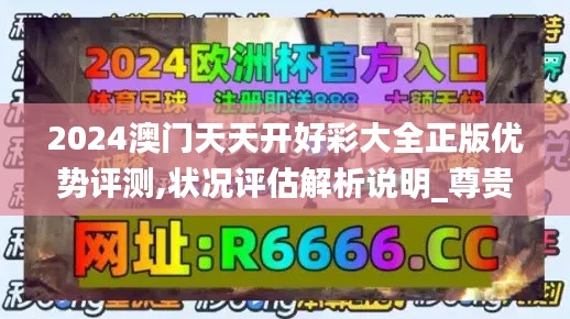 2024澳门天天开好彩大全正版优势评测,状况评估解析说明_尊贵款10.753