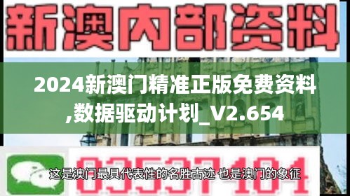 2024新澳门精准正版免费资料,数据驱动计划_V2.654