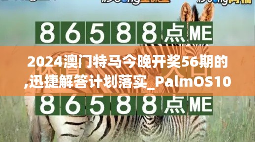 2024澳门特马今晚开奖56期的,迅捷解答计划落实_PalmOS10.943