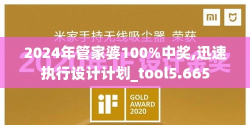 2024年管家婆100%中奖,迅速执行设计计划_tool5.665