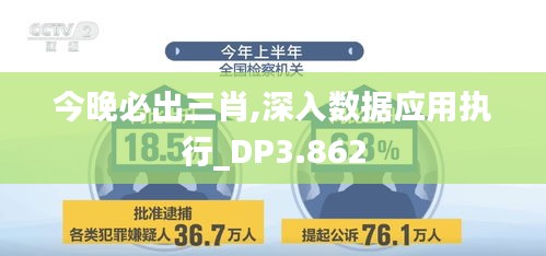 今晚必出三肖,深入数据应用执行_DP3.862