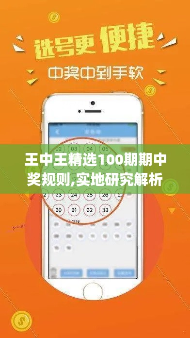 王中王精选100期期中奖规则,实地研究解析说明_Tizen3.444