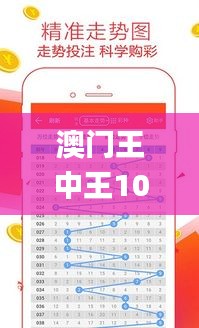 澳门王中王100期期中一期,经济性方案解析_交互版6.253