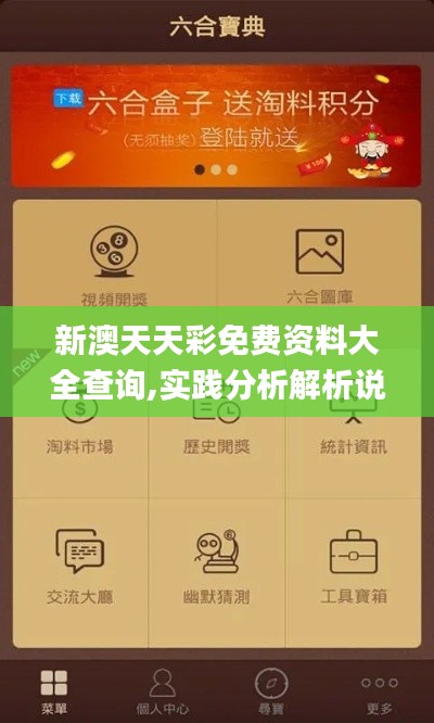 新澳天天彩免费资料大全查询,实践分析解析说明_U9.636