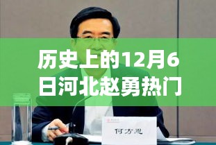 河北赵勇事件深度解析，历史背景与观点探究