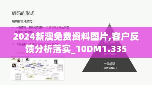 2024新澳免费资料图片,客户反馈分析落实_10DM1.335