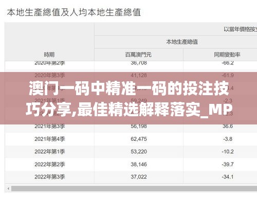 澳门一码中精准一码的投注技巧分享,最佳精选解释落实_MP8.125