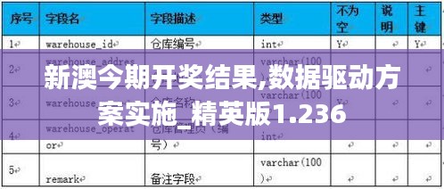 新澳今期开奖结果,数据驱动方案实施_精英版1.236